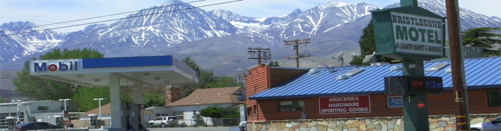 Bristlecone Motel 빅 파인 외부 사진